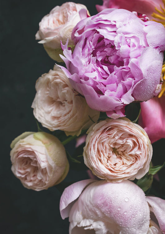 Moody Florals II